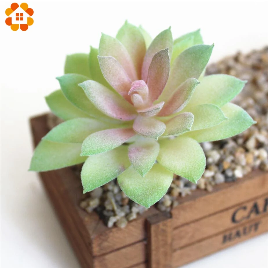 1 шт. Искусственные суккуленты трава растение Мульти Стиль искусственный пейзаж