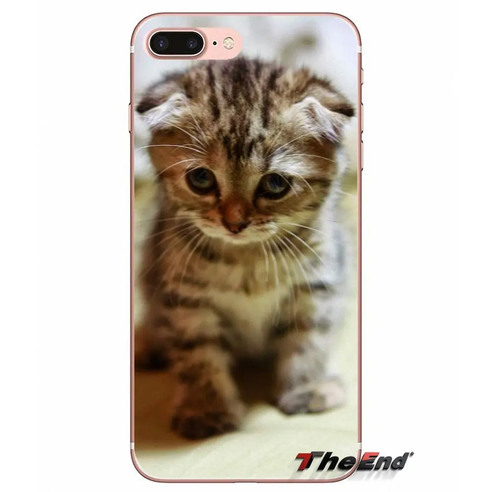 Мягкий чехол для Samsung Galaxy S3 S4 S5 MINI S6 S7 edge S8 Plus Note 2 3 4 5 Grand Core Prime Scottish fold cat Felis catus|case