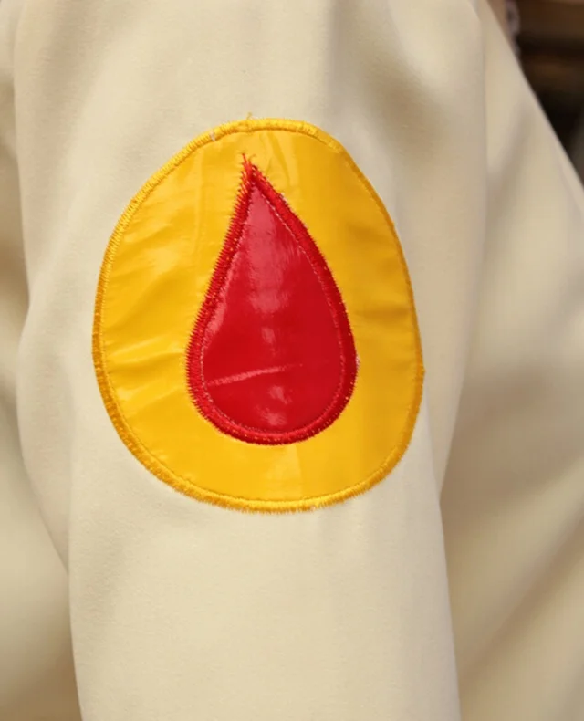 Hinata Hyuga Cosplay Costumes Japanese Anime Naruto Adult Halloween Free Shipping (Hoodie + Pants) | Тематическая одежда и