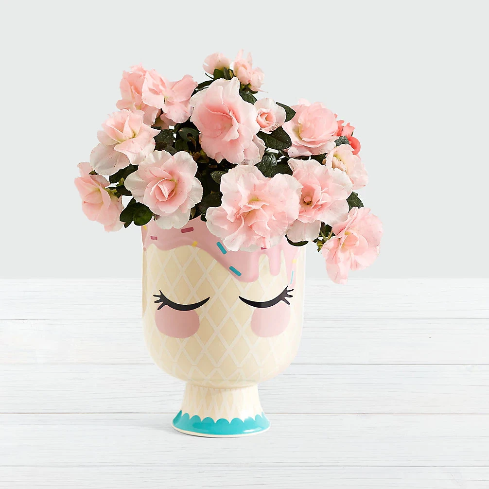 Керамическая ваза для девочек милый большой горшок цветов Свадебная вечеринка