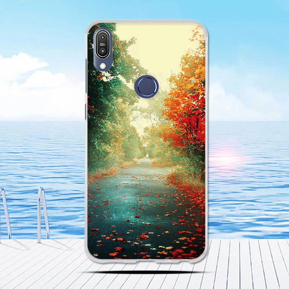 For ASUS Zenfone Max Pro M1 ZB601KL Case Print Cat Soft Silicone for Cover Funda | Мобильные телефоны и аксессуары