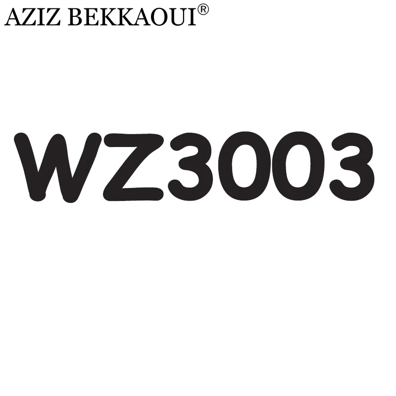 WZ3003 Азиз BEKKAOUI дропшиппинг DIY сервис индивидуальный логотип специальный подарок для влюбленных подарок на день Святого Валентина WZ3003-3008 - Окраска металла: WZ3003