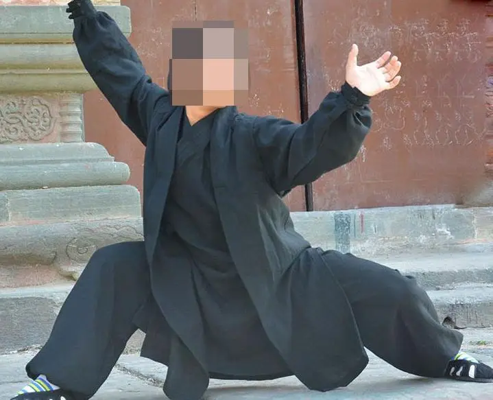 17 видов цветов 3 шт./компл. высококачественные льняные костюмы Wudang tai chi для боевых