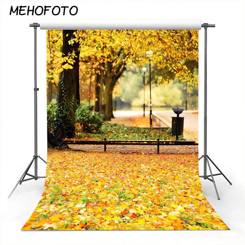 Осенний парк фон для фотосъемки кленовый лист тропинка Опаленные листья осенний