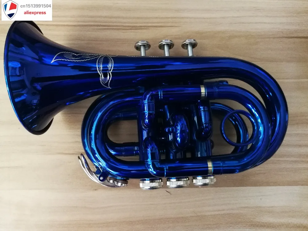 Частный и пользовательский Карманный Труба синий лакированный + латунь
