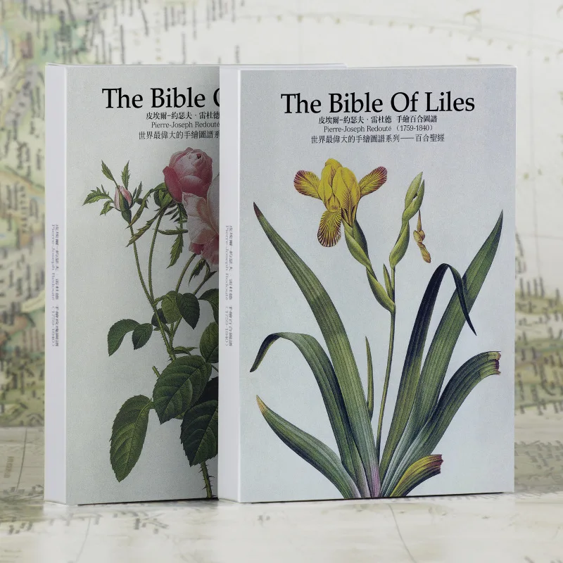 32 шт. в одном открытка Джозеф суаит ручная роспись Библия Иль рождественские