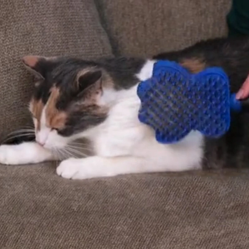 Профессиональная расческа расчески для домашних животных мягкая щетка ухода за