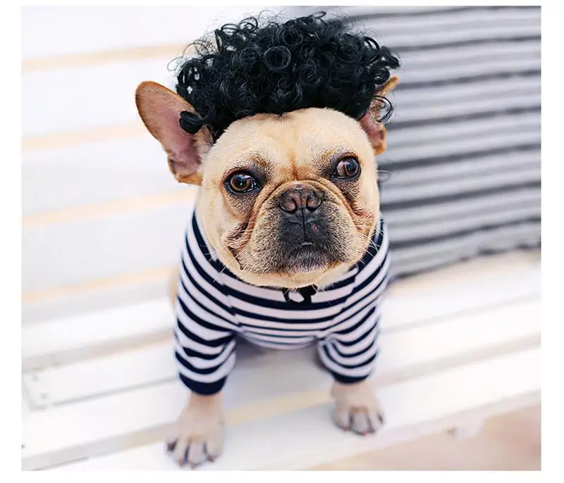 Смешная собачка парик косплей Кепка для маленьких щенков собак кошек милая очаровательная девушка волосы петля головы одежда собака шляпа для животных парик