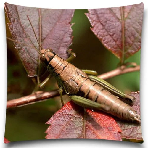 Подушка без внутренней ткани креативная насекомое полиэстер квадратный