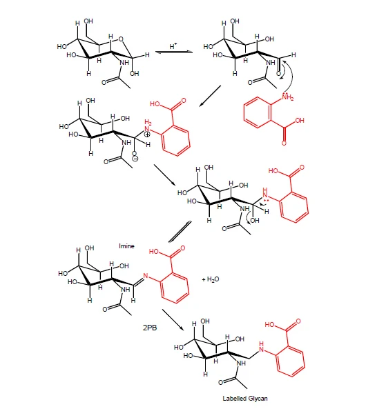 2AA Glycan Labeling Kit 2PB reductant |