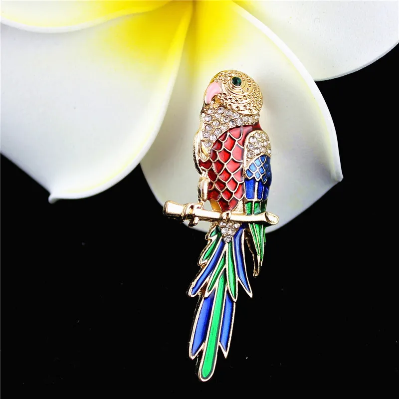 Брошь с эмалью в виде попугая и звезд|brooch retro|brooch displaybrooch unique |
