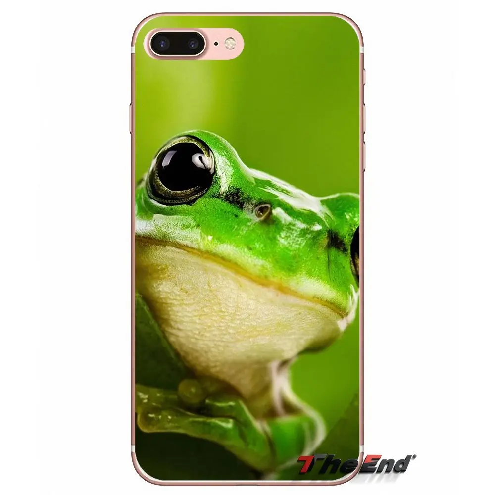 Силиконовый чехол для iPhone X 4 4S 5 5S 5C SE 6 6S 7 8 Plus Samsung Galaxy J1 J3 J5 J7 A3 A5 2016 2017 Frogs A rainbow frog Green
