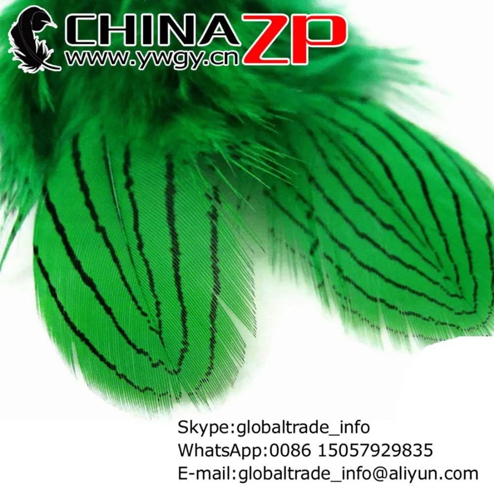 

Золотой Производитель CHINAZP Factory 50 шт./лот 8 ~ 10 см длина великолепные и изящные окрашенные зеленые серебряные фазаньи перья