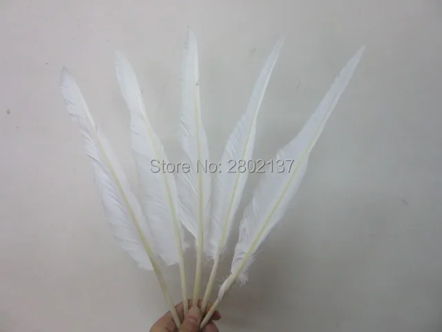 Хорошее чистое оптом скудное 50 шт высококачественные натуральные белые индейки