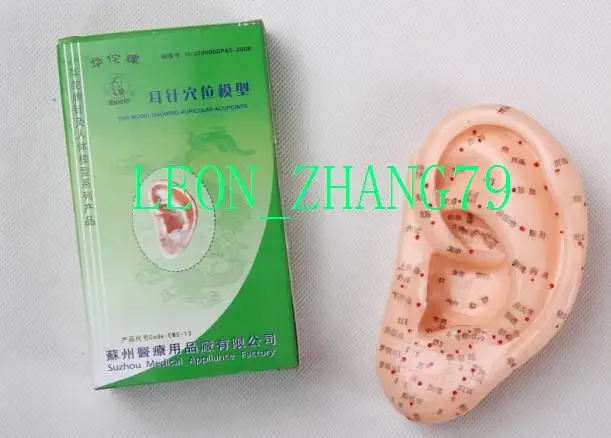 Ушная акупунктурная модель китайский язык 13 см|ear acupuncture|ear acupuncture modelacupuncture model |