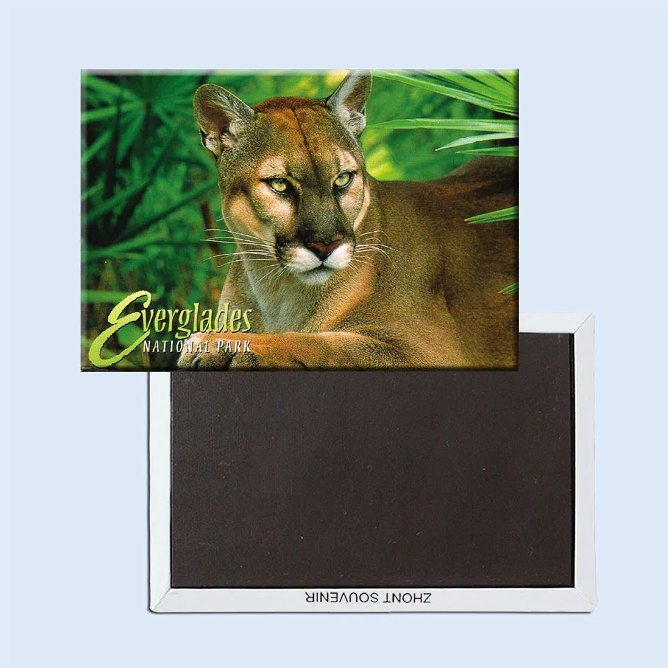 Florida panthers Everglades National парковые магниты 21539|florida magnet|magnetmagnet magnet |