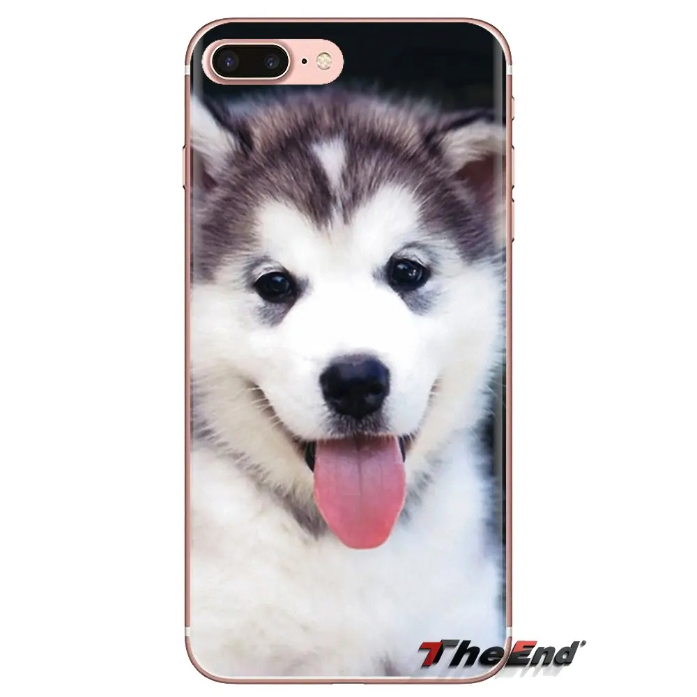 Мягкие чехлы для собак Alaskan Malamute Siberian husky Xiaomi Mi3 Samsung A10 A30 A40 A50 A60 A70 Galaxy S2 Note 2 Grand Core