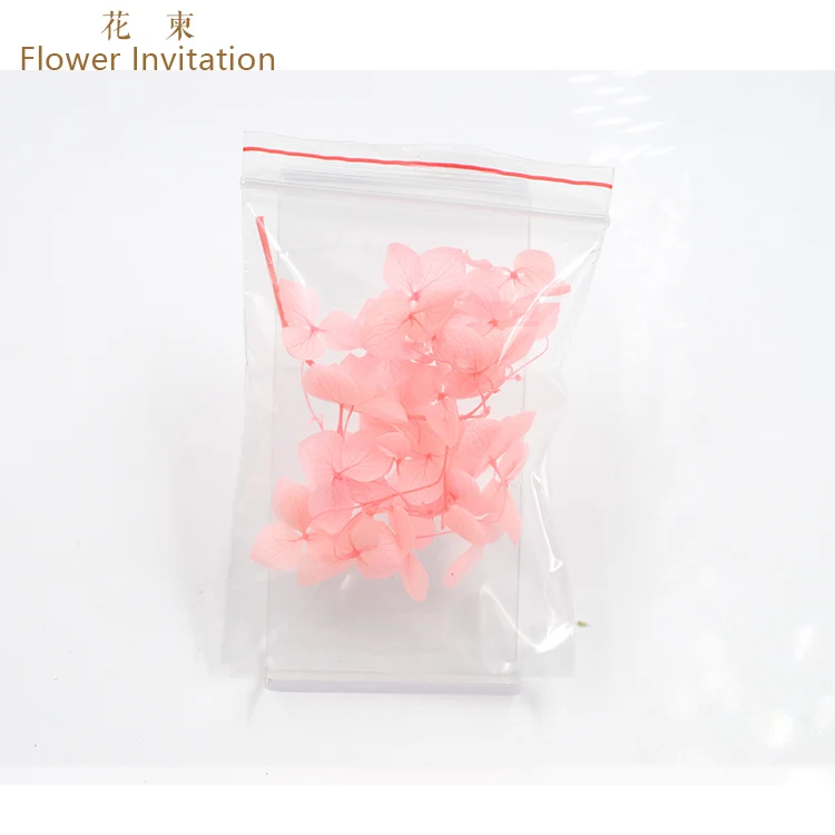 pink 5 pieces Цветочные приглашения маленькие листья высокого качества Гортензия_ DIY ручные образцы растений сушеные цветы - Цвет: pink 5 pieces