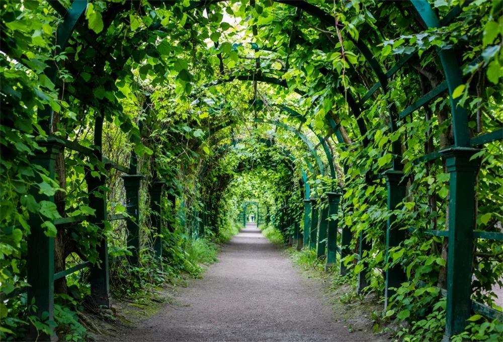 Laeacco Park зеленые листья Арка пассаж живописные фотографии фоны индивидуальные