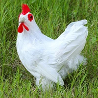 White hen 4 шт./компл. реалистичный пушистый ребенок цыпленок ненастоящее животное игрушка Реалистичная курица животное весенний Пасхальный подарок различные действия - Цвет: White hen