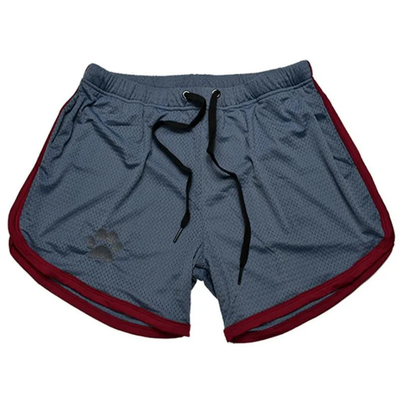 Navy ZFIT, новинка, мужские шорты для фитнеса, бодибилдинга,, для пробежки, мужские тренировочные дышащие сетчатые быстросохнущие спортивные штаны - Цвет: Navy