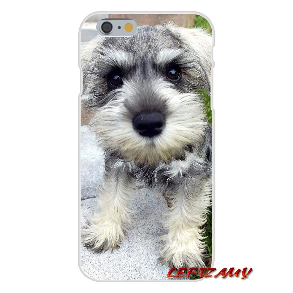 For Huawei P8 P9 P10 Lite 2017 Honor 4C 5X 5C 6X Mate 7 8 9 10 Pro cute dog Miniature Schnauzer Accessories Phone Cases Covers | Мобильные