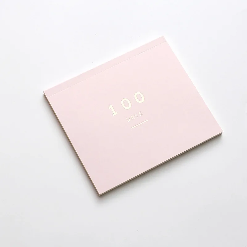 pink 100 BLINGIRD ежедневный блокнот 100 ежедневный план Корейский простой стиль график основа эффективность ручной поверхности милый планировщик канцелярские принадлежности - Цвет: pink 100