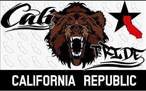 Флаг штата Калифорния наружный флаг 3 фута x 5 футов полиэстер баннер Летающий 150*90