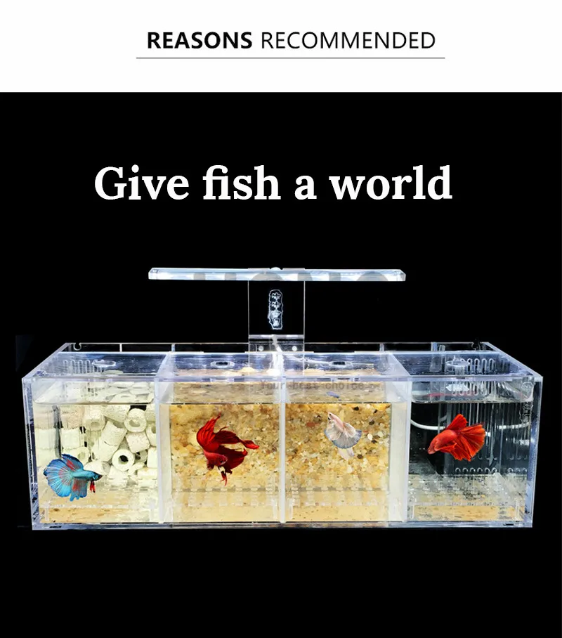 HONGYI 1 шт. акриловые bettas цилиндр изолированный аквариум Наклонный водяной насос разведение цилиндр детский Бетта бак Гуппи разведение