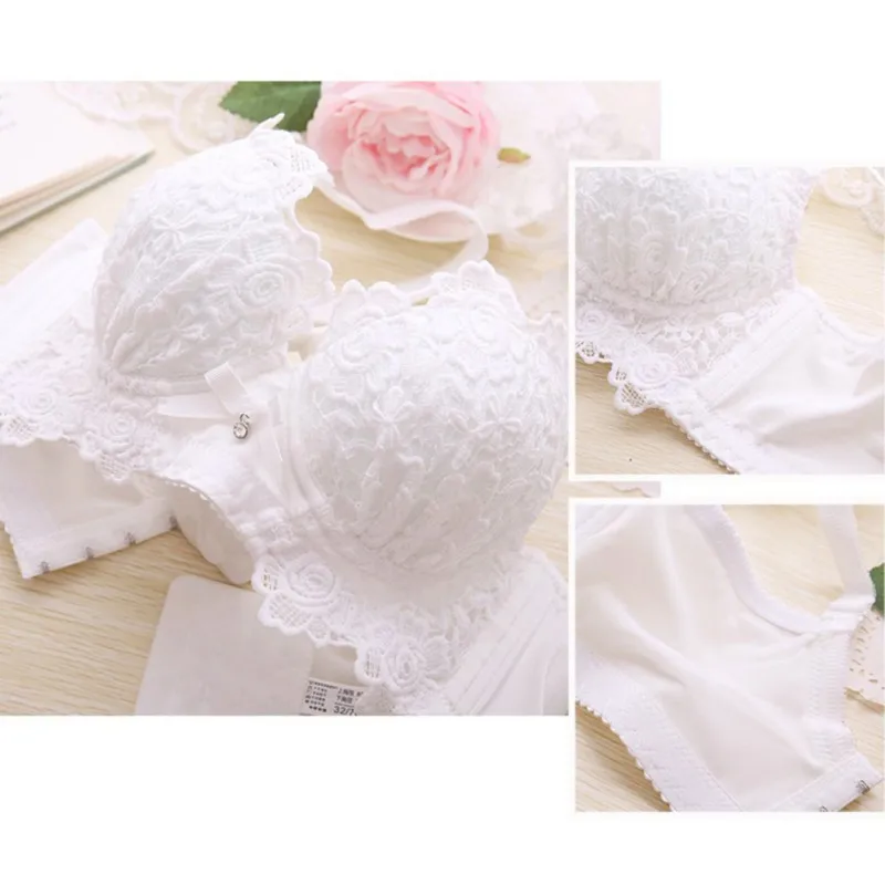 

Women Push Up Bra Lingerie Underwear Women Panties Bra Set Embroidery Bralet Set
