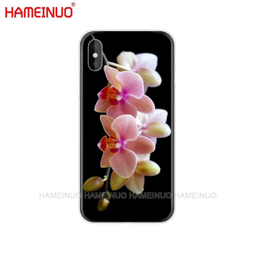 HAMEINUO цветок орхидеи цветной Чехол для мобильного телефона iphone X 8 7 6 4 4S 5 5S SE 5c 6s plus - Цвет: 42648