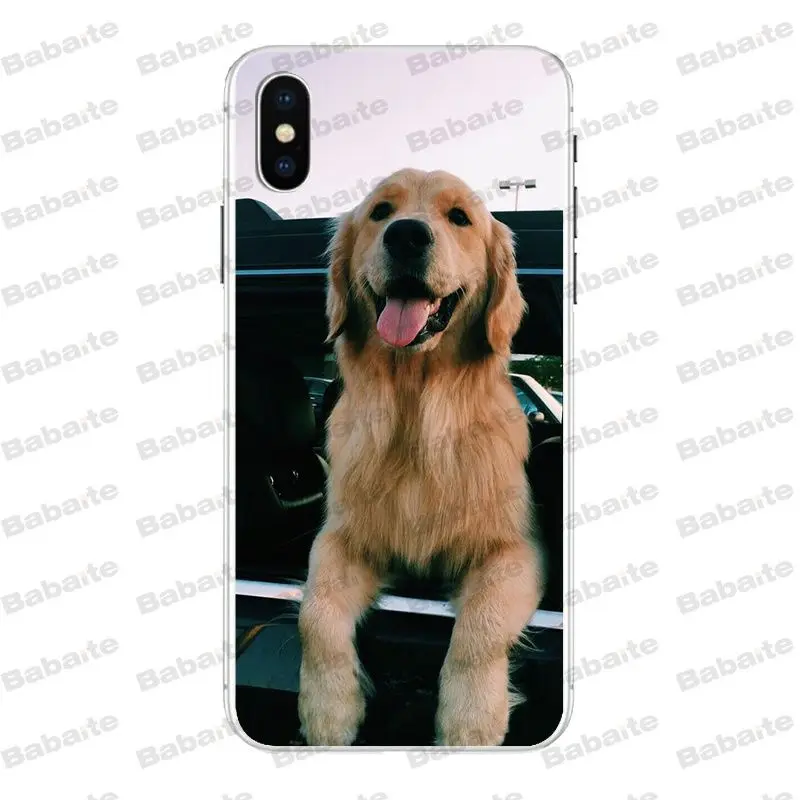 Babaite супер милый золотой ретривер чехол для телефона для iPhone X Xs Xr XsMax 6 6s Plus 7 7plus 8plus 5S 5c SE11 11pro 11promax