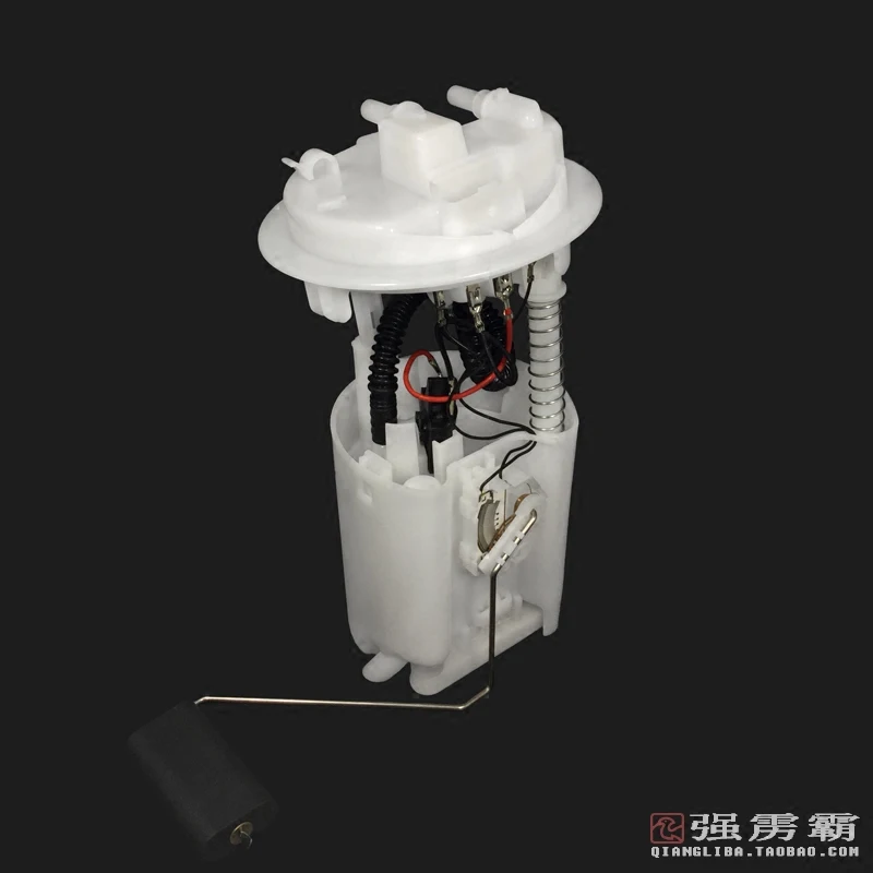 

fuel pump assembly for Picasso DSF-A208