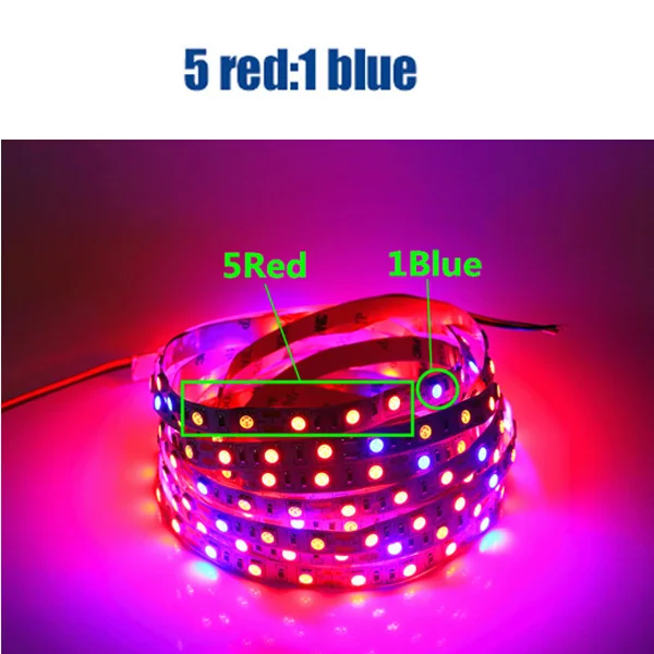 5 red 1 blue Растение светится полный спектр светодиодные полосы цветок Фито лампа 5 м водонепроницаемый красный синий 4:1 для теплицы гидропоники+ адаптер питания - Испускаемый цвет: 5 red 1 blue