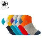 Носки PIER POLO, новые модные высококачественные брендовые хлопковые носки, повседневные мужские носки, носки с вышивкой, летние носки без коробки