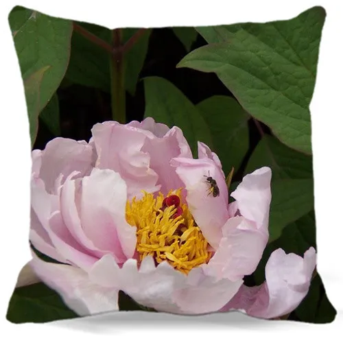 Новинка 2017 весенний квадратный чехол для подушки с рисунком пиона белого