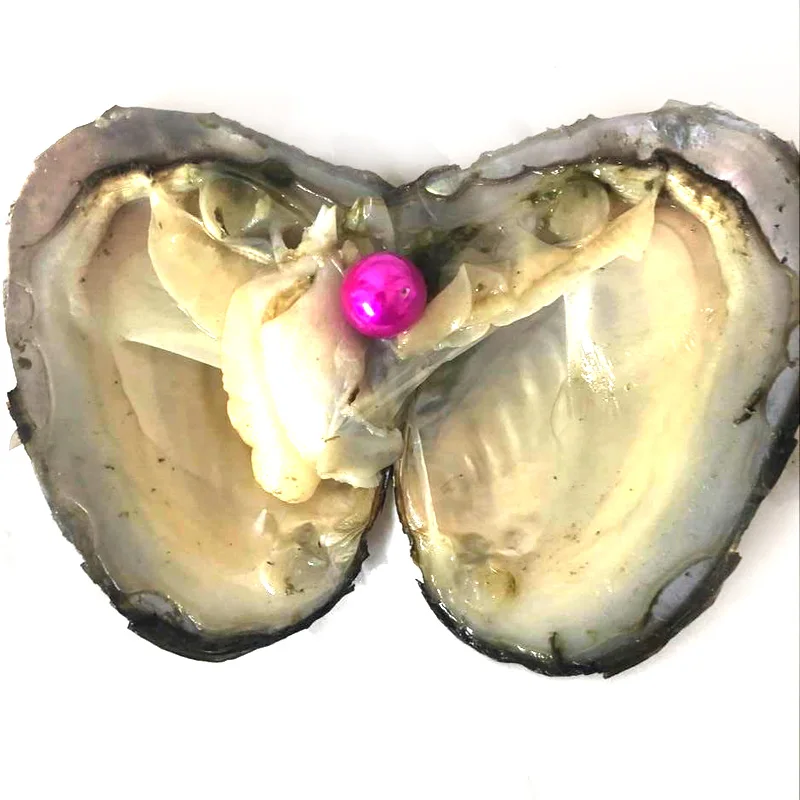 20pcs Single Hot Pink 9-10mm Near Round Edison Pearl with Vacuum Packed Oyster Fresh Pearl in Oyster