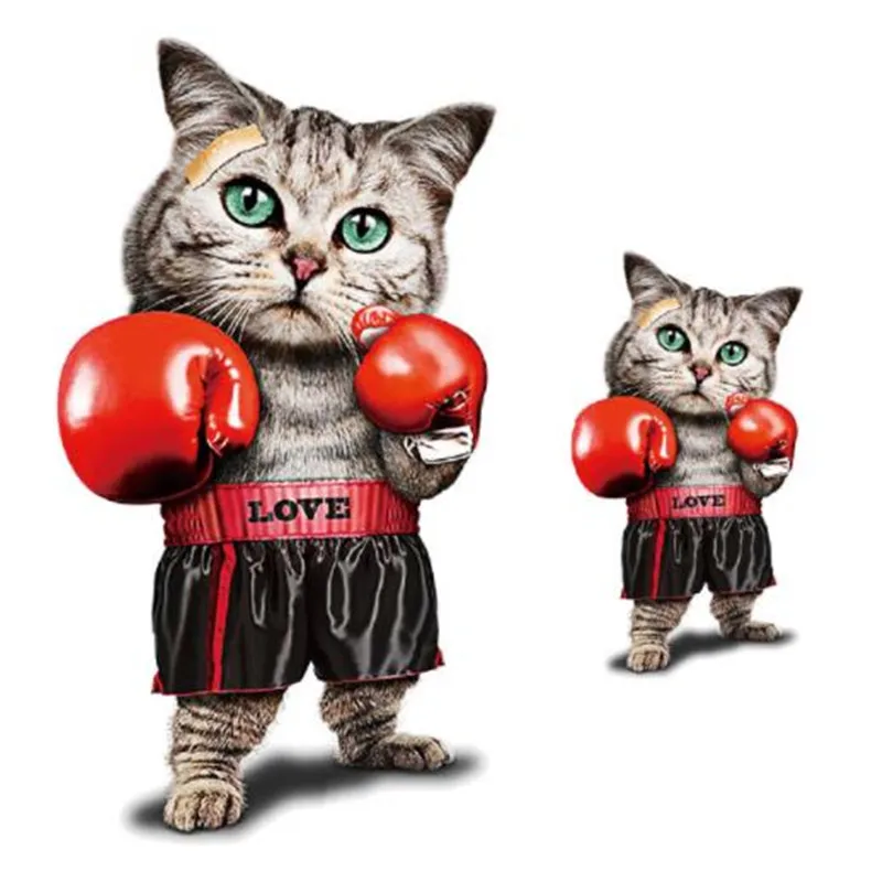 Уличная икона женская и мужская одежда 270 мм нашивки с термопечатью для кошек