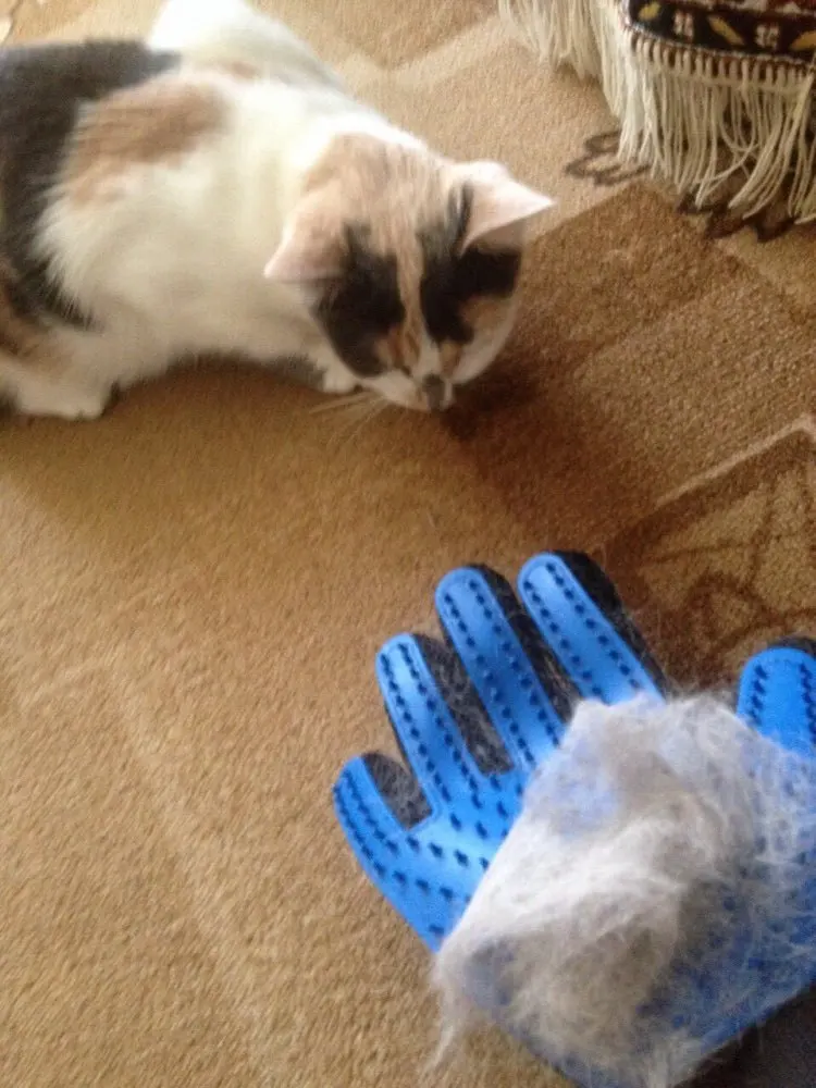 Кошка перчатки для животных гребень Cat Уход за лошадьми питания очистки перчатки Deshedding правой удаления волос кисти перчатки