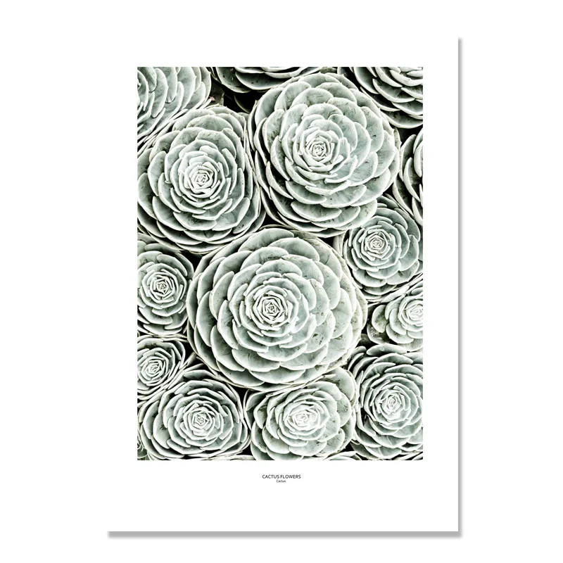 

Green Plants Cactus Wall Pictures For Living Room Wall Art Canvas Landscape Painting For Living Room Decor Unframed Poster