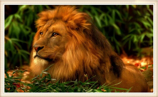 

Cross Stitch 30x50cm Diy Diamond Painting Rhinestone Embroidery Resin Set Canvas Craft Fabric Mosaic Handcraft animals lion