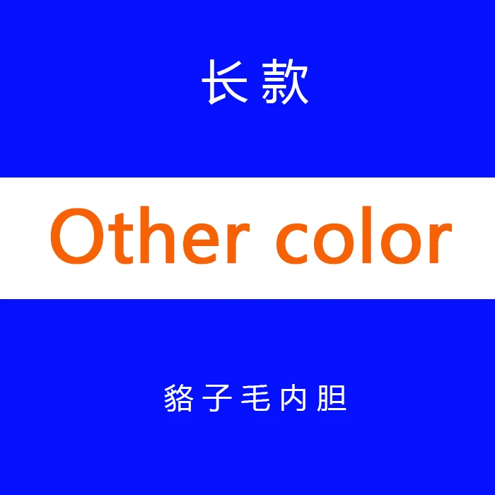 other color JAZZEVAR Новоя модная куртка женская Роскошные большой енота меховым воротником с капюшоном теплый меховой вкладыш парки длинные зимняя куртка наивысшего качества - Цвет: other color