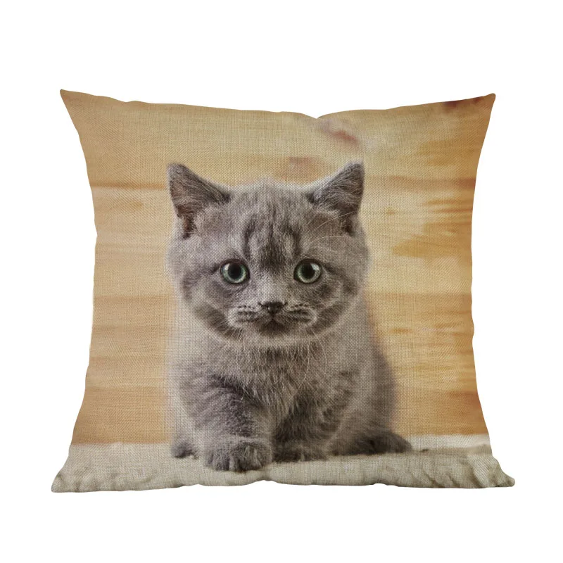 Милые маленькие кошки, британские короткие волосы, котенок, льняные Короткие Плюшевые наволочки, наволочки для дома, для домашних животных, магазин автомобилей, декоративная подушка для дивана, чехол