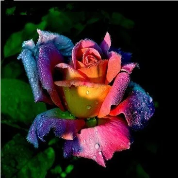 Алмазная вышивка huacan Flower 5D DIY Алмазная картина красочная Роза полный квадратный домашний декор мозаичные Стразы подарок на фестиваль - Цвет: FV4581