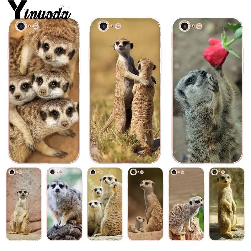 Чехол Yinuoda для iphone 7 6 X прозрачный чехол с изображением животных из серии meerkats iPhone 8