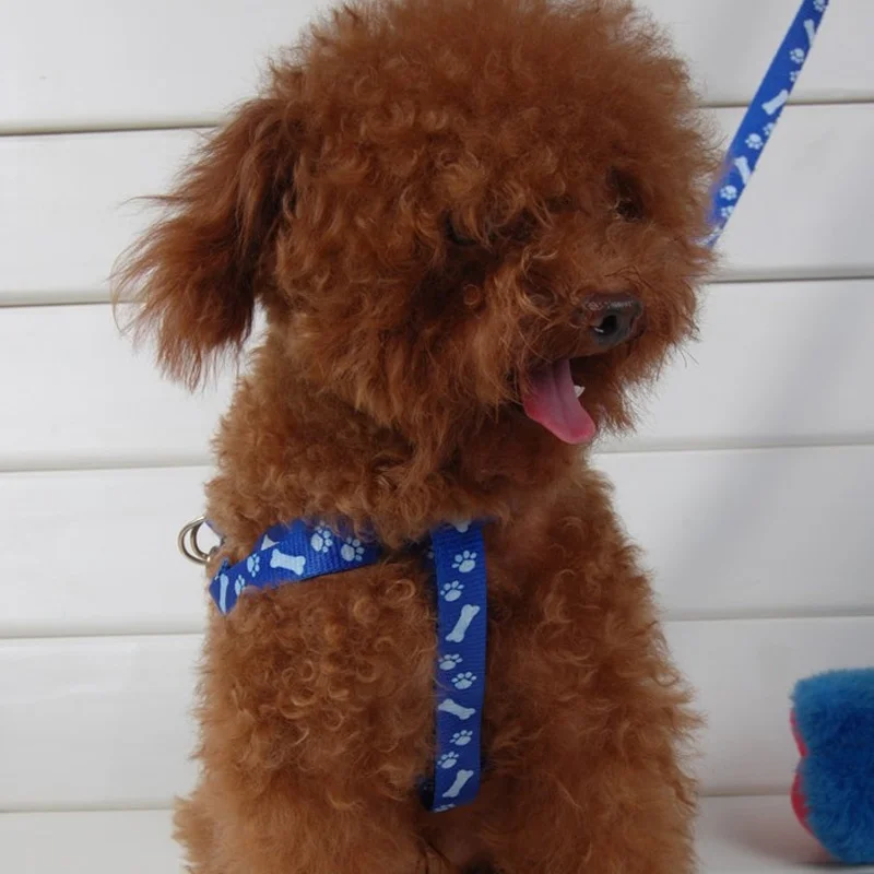 1 шт. милая маленькая собака щенок кошка регулируемый поводок с поводком веревка