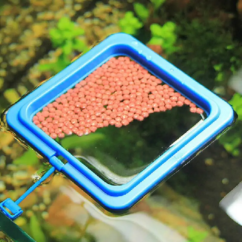 Mariculture Fishes подающее кольцо Фидер предотвращает подачу плавающий всюду квадратный Круглый формы Рыбное питание кольцо аквариумный аквариум