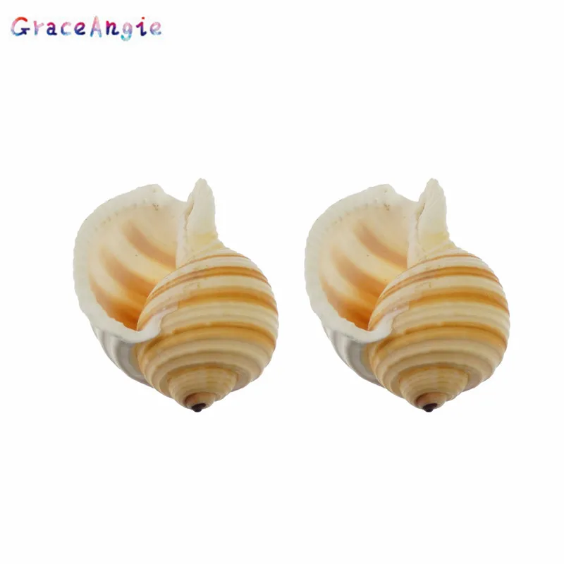 GraceAngie натуральная ракушка полосатая форма ювелирные аксессуары DIY пляжные
