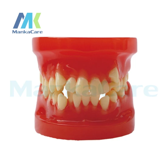 Manka Care - 28 шт. зубов Ортодонтическая модель без кронштейна для полости рта |