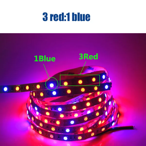 3 red 1 blue Растение светится полный спектр светодиодные полосы цветок Фито лампа 5 м водонепроницаемый красный синий 4:1 для теплицы гидропоники+ адаптер питания - Испускаемый цвет: 3 red 1 blue